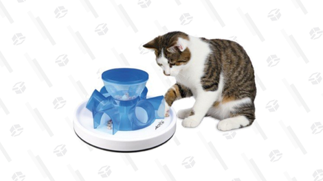 If you’re just introducing your cat to feeders, the Trixie Activity Strategy Game Tunnel Feeder is simple, yet exciting for playful cats.